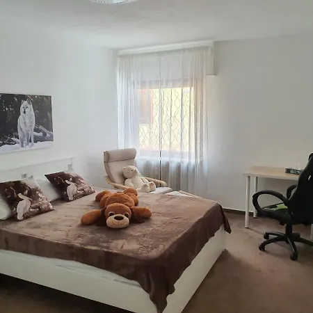 Garni Steinbacher Tal 하이델베르크